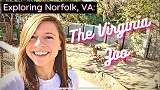 Norfolk, Virginia: Virginia Zoo // THINGS TO DO IN NORFOLK, VA