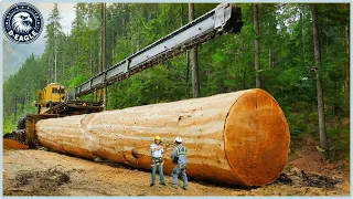 105 Most Incredible And Fastest Chainsaw Machines For Cutting Trees ▶5