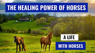 Horses and Mental Health-How Horses Heal People with Anxiety, Depression, PTSD.