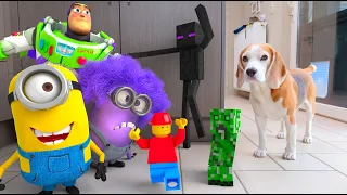 TOP 250 Best Animations IN REAL LIFE : Minecraft , Sonic , Toy Story , LEGO and MORE!