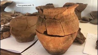 Обнаружили более 50 домов: древнее поселение изучили археологи в Приморье