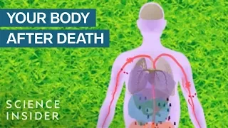 What Happens To Your Body After You Die