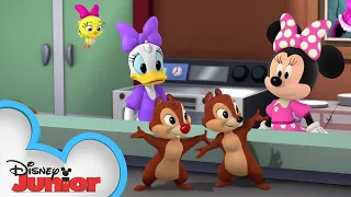 Minnie Muffin Mayhem | Chip 'N Dale's Nutty Tales | Disney Junior