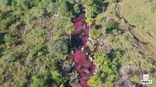 Guaviare y sus maravillas naturales