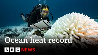 Oceans record hottest ever recorded temperature - BBC News