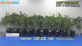 “大麻所持・営利目的栽培”　男ら４人を逮捕