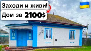 🇺🇦 Заходи и живи! Дом в селе за 2100$ Продажа недвижимости за копейки Всё есть! Уютное Тихое село!