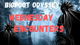 WEDNESDAYS ENCOUNTERS - WALLY JOINS DANIELA & BRENT