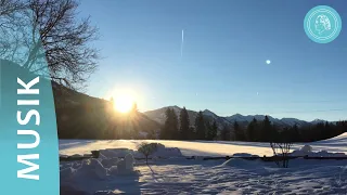 Verborgene Lebenskraft im Winter – Musik-Clip von Bruno Gröning-Freunden