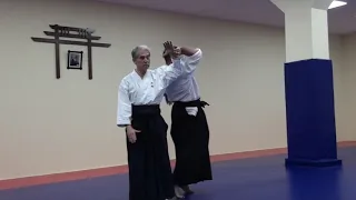 Семинар Имамуры сенсея: отработка кокю нагэ | Айкидо| 合気道 | Aikido