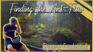 Grenzweg Trail - Teil Eins und Zwei // MTB Freudenstadt // Two Guys One Van