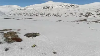 Jotunheimen Haute Route is a four-day randonée ski tour