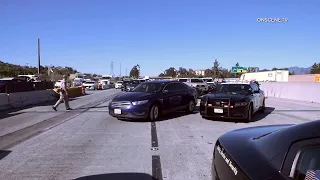 Driver Crashes SUV Into Multiple Vehicles in Parking Lot