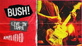 BUSH Live in Tampa! | Ultimate Tour 2019 Concert Highlights | Amplified