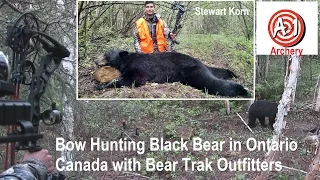 Black Bear Bow Hunt by 17 year old Archer makes the perfect shot! bow and arrow Mathews Halon 6 POV