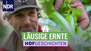 Schlussspurt bei der Gemüse-Ernte | Hofgeschichten: Leben auf dem Land (253) | NDR