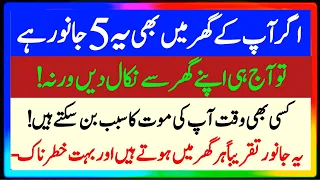 Be Waqt ki Maut Kion ho Jati Hiy Aksar Log Bimar Kion Rehte Hain | islamic gule islami