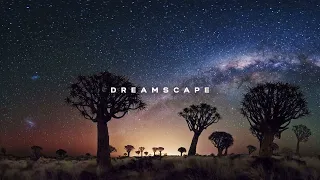 #007 Dreamscape (Liquid Drum & Bass Mix)