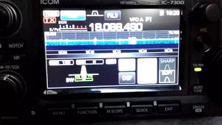 Yaesu FTdx-3000 Vs Icom 7300 CW 17 meters 150 hz narrow - IW2NOY