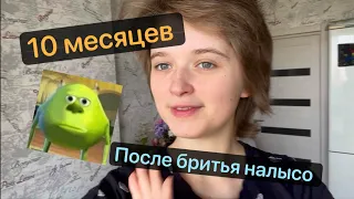 10 месяц | после бритья НАЛЫСО | Рыська ^.^