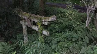 山中の廃神社