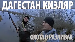 ДАГЕСТАН Кизляр//ОХОТА В РАЗЛИВАХ//Как НЕ ПОВЕЗЛО одной материковой утке!