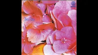 Still Life - Still Life (UK/1971) [Full Album] 🇬🇧