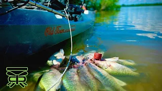 SLAB CRAPPIE in TIMBER along an old ROAD BED‼️