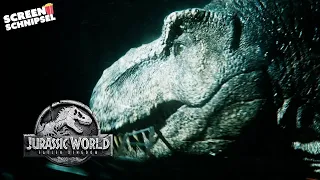 Nacht-und-Nebel-Aktion | Jurassic World - Fallen Kingdom | Screen Schnipsel