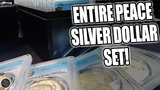 Was PCGS too Harsh?  Entire Peace Silver Dollar Set back from Grading!