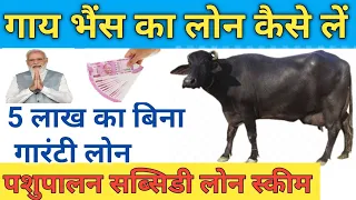 गाय भैंस लोन कैसे लें | Pashupalan loan yojna 2024 | pashu loan kaise le | How to apply pashu loan