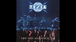 T͟esl͟a͟ ͟F͟i͟ve͟ ͟M͟an͟ ͟A͟c͟o͟u͟s͟t͟ica͟l͟ ͟J͟am͟ ful album 1990