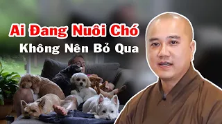 Những Ai NUÔI CHÓ Nhất Định Phải Biết Những Điều Quan Trọng Này | Thầy Thích Pháp Hòa