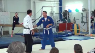 Hapkido vs Aikido