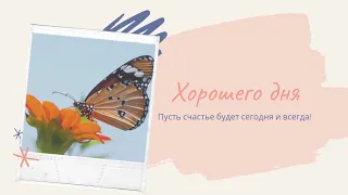 💛 ЗАРЯД СПОКОЙСТВИЯ, ПОЗИТИВА И ДОБРА 🌼  #хорошегодня #зарядпозитива #бабочки #природа