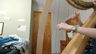 minecraft "wet hands" harp cover