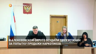 В Алексеевском округе осудили двух мужчин за попытку продажи наркотиков