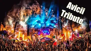 David Guetta: Titanium VS Avicii: Hey Brother (Afrojack Mashup) - Tomorrowland 2018