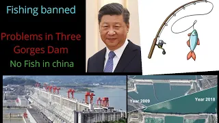 Three Gorges Dam|NO fishing|INDEPENDENT CJ|English