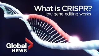 CRISPR: The science behind gene-edited 'designer babies'
