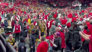 Did Caitlin Clark Deliberately Crash Herself After IOWA Lost to OHIO State Women's Basketball
