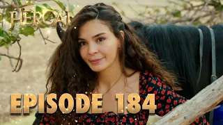 Hercai | Herjai Urdu - Episode 184