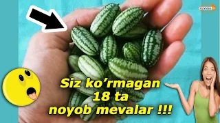 Siz eshitmagan va ko'rmagan 18 ta noyob ekzotik mevalar - Dunyo mevalari !!!