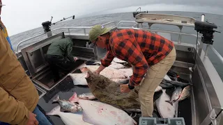 Homer charter for salmon and halibut