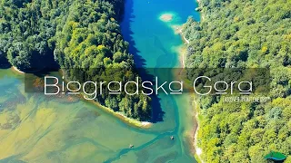 Biogradska Gora - Discover Montenegro in colour ™ | CINEMATIC video
