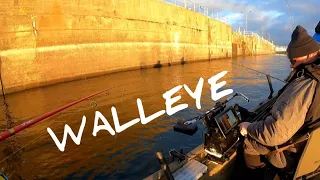 February Walleye and Sauger Fishing!! (Mississippi River)