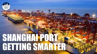 Shanghai Port: How automated is it to handle 143,000 TEUs per day?