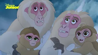 The Lion Guard | Anga Saves the Snow Monkeys | Disney Junior Arabia