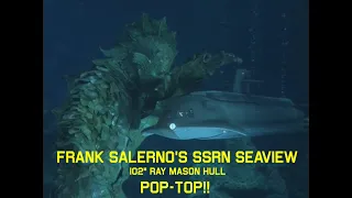 Frank Salerno: SSRN SEAVIEW (102" Mason Hull) Pop-Top!!