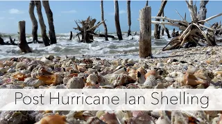 Post Hurricane Shelling - Hurricane Ian Southwest Florida 2022